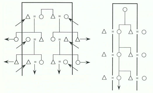 Abbildung 3 (links): Ambilokale Residenz. Kreis = weibliches Individuum, Dreieck = männliches Individuum. Die Gleichheitszeichen stehen für Ehebeziehungen. Der fette Rahmen zeigt die Abgrenzung der lokalen Gruppe (nach Fox 1973, 83) / Abbildung 4 (rechts): Natolokale Residenz. Kreis = weibliches Individuum, Dreieck = männliches Individuum. Die Gleichheitszeichen stehen für Ehebeziehungen. Der fette Rahmen zeigt die Abgrenzung der lokalen Gruppe (nach Fox 1973, 78)