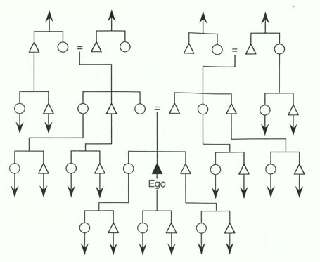 Abbildung 9: Bilaterale Deszendenz. Kreis = weibliches Individuum, Dreieck = männliches Individuum. Die Gleichheitszeichen zeigen die Ehebeziehung der Eltern und Grosseltern von Ego an (aus Grohs-Paul und Paul 1981, 24)